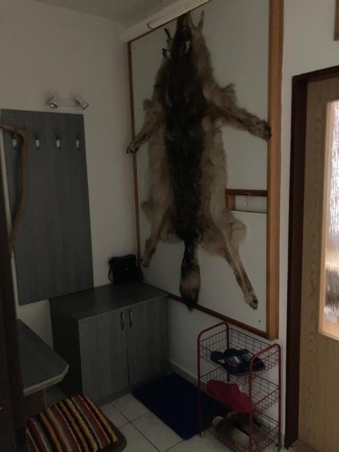 Meclov Apartman Kültér fotó
